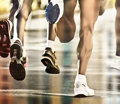 欧州スポーツアパレル